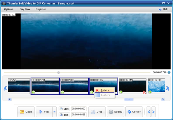 ThunderSoft GIF Converter 5 Free Download