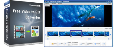 Convert  Videos To GIF Files Online for Free